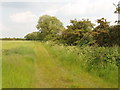 Bridleway by pasture, Latchford in OX44 7BG