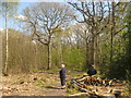 Bird Watchers in East Blean Wood in CT3 4JR