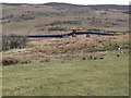 Overland pipeline from Llyn Cowlyd in Dolgarrog Community