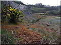 Pant-y-Phillip quarry, looking south in Scleddau Community