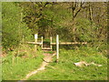 Footpath entrance to East Blean Woods in CT3 4NA