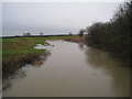 River Witham in flood in NG24 2SB