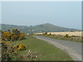 Moorland with Brentor on the horizon in PL19 9QB