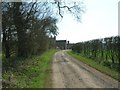 Kennel Lane heading south (footpath) in Annesley