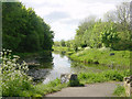 The Barnsley Canal near Barnsley in S71 1EP