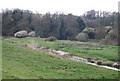 River Cuckmere south of Alfriston in BN26 5TR