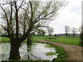 Field Pond adjoining track north of Rugby Road in Westrill and Starmore