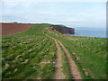 East Devon : South West Coastal Path in EX9 7AY