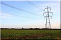 Electricity Pylon in the field in OX4 6SH
