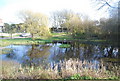 Village pond, Friston in BN20 0JB