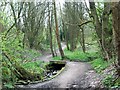 Bridge over stream, Fairhurst Lane in WN1 2TE
