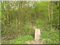 Footbridge near Round Wood in CT6 7NP