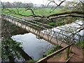 East Devon : River Otter & Footbridge in EX9 7DW