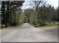 Road through Den Wood in AB15 9QB