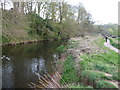 East Devon : The River Otter in EX9 7DW