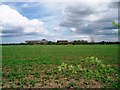 View across the fields to Claxton Farm in TS25 2JP