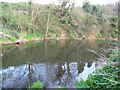 East Devon : The River Otter in EX9 7BG