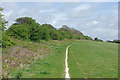 Footpath towards Moulsecoomb Wild Park in BN1 9JS