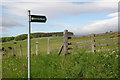 Footpath to Drimmie woods near Hill of St Fink in PH11 8JZ