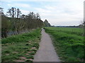 East Devon : Riverside Path in EX9 7BG