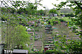Roedale Valley allotments in BN1 7HT