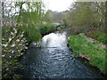 Otterton : The River Otter in EX9 7BG