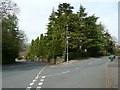 Heber's Ghyll Drive, Ilkley in LS29 9BP