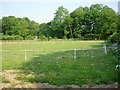 Horse Paddocks in SO50 7HD