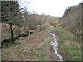 Footpath  alongside  May  Beck in YO22 5JE