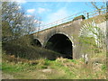 Railway bridge near Pye Bridge in DE55 4PB