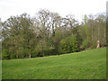 Woodland below Edge Hill in spring in CV35 0UN