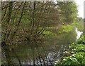 Disused canal, Pinxton in DE55 3DE