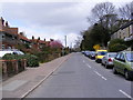 Bungay Road, Halelesworth in IP19 8AB