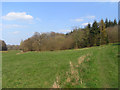 Gap between woods, Hollington, East Woodhay in RG20 9XT