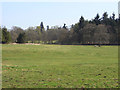 Pasture and woodland, Highclere in RG20 9RQ