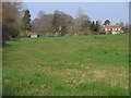 Pasture, Adbury, Burghclere in RG15 9AG