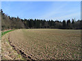 Farmland and woodland, Bishop's Green in RG20 4AE