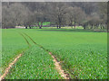 Farmland, Adbury, Burghclere in RG20 4AF