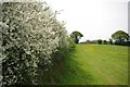 Blossom and Icknield Way in LU3 3PE