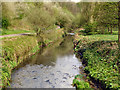 River Medlock, Clayton Vale in M11 4LZ