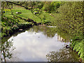 River Medlock from Clayton Vale Bridge in M11 4LZ