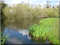 Chalfont St Peter: Layter's Green Pond in SL9 8TT