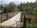 Footbridge over mouth of Aller Brook in TQ12 4HZ