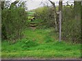 Footpath north of Keyfox Farm in GU28 9JN