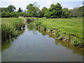 River Thame near Nether Winchendon in HP18 0AL