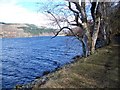 Loch Tummel near Wester Duntanlich in PH16 5NS