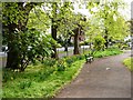 Upton Park footpath and trees in TQ1 3HA