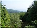 Dunoon, Bullwood - Bishop's Glen Track, View in PA23 7LN