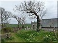 Path through the churchyard of West Charleton Church in Charleton