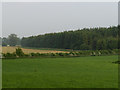 Farmland and forest at Blair Drummond in FK9 4AJ